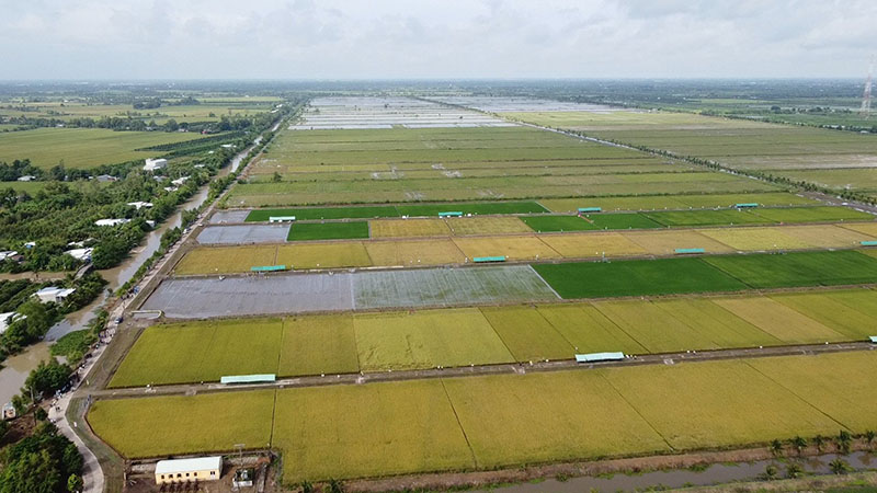 Life-changing opportunity for millions of farmers in the Mekong Delta